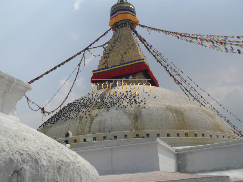 Nepal033