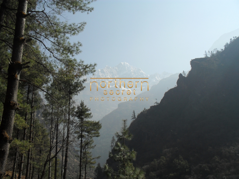 Nepal101