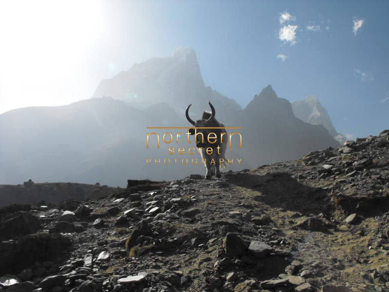 Nepal209
