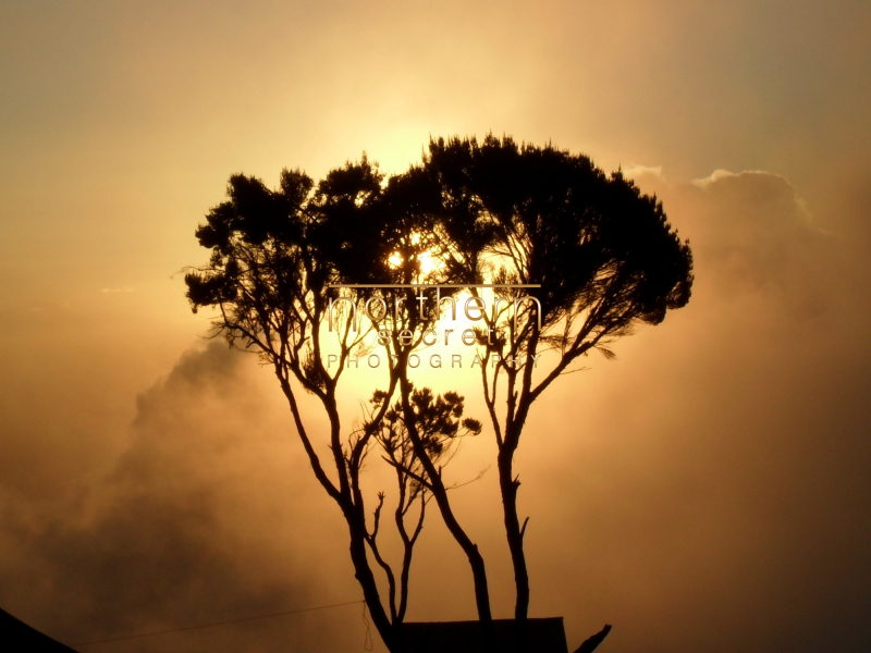 Tanzania062