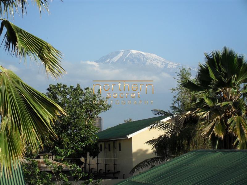 Tanzania227