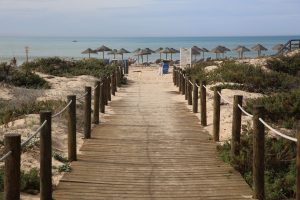 Pathway to the beach